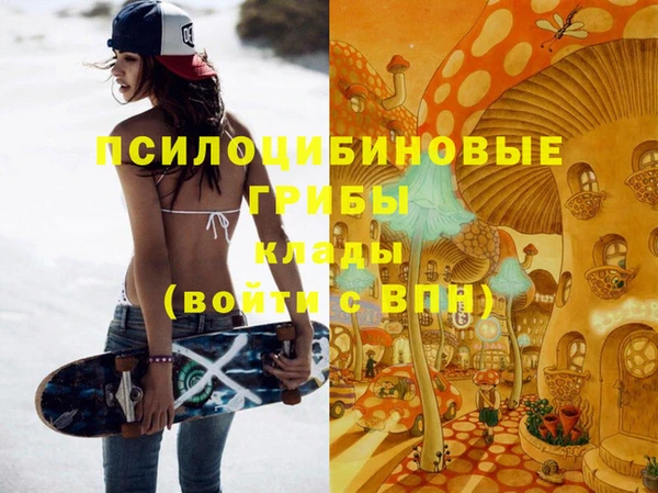 не бодяженный Вяземский