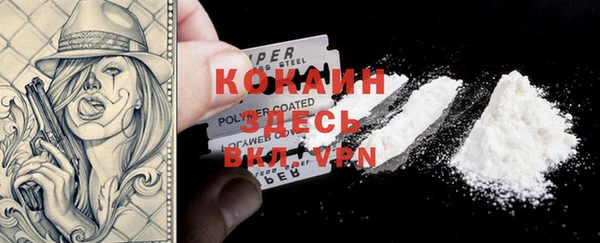 apvp Вязьма