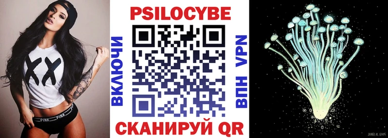 Псилоцибиновые грибы мухоморы  Купить закладки  Нерюнгри 